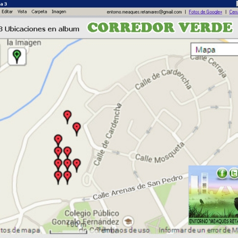 ubicacion arboles en Corredor Verde